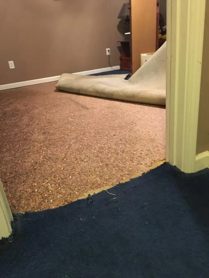 Carpet pad removal revealing water damage during Drying & Dehumidification in Whitefish