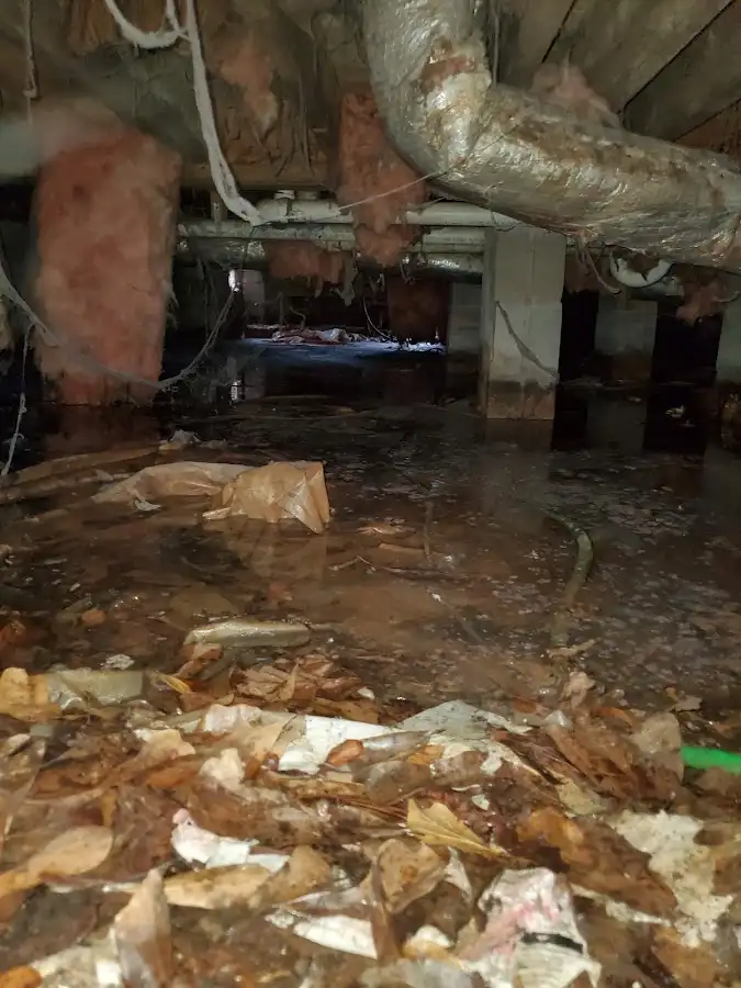 Crawl space flood assessment for Commercial Water Damage Restoration in Whitefish